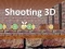 Juego Shooting 3D en línea