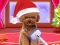 Juego Christmas ASMR Makerover Salon en línea