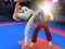 Juego Karate Fighter en línea