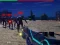 Juego Zombie Survivor en línea