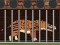 Juego  Andrewsarchus Release from Cage en línea