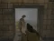 Juego Silent Asylum 2 en línea