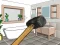Juego Smash The Room To Pieces en línea