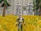 Juego Axe Of The Ancients Dwarven Fury en línea