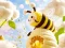 Juego Find The Differences: Little Bee's Adventure en línea