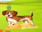 Juego Bunny Key Quest en línea