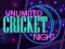 Juego Unlimited Cricket Night en línea