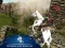 Juego Ertugrul Gazi Horse Sim en línea
