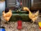 Juego Poultry Farm Easter Escape en línea