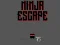 Juego Ninja escape en línea