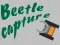 Juego Beetle Capture en línea