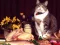 Juego Funny Cats Puzzle en línea