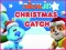 Juego Nick Jr. Christmas Catch en línea