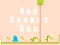 Juego Run Rabbit Run en línea