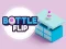 Juego Bottle Flip en línea