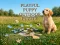 Juego Playful Puppy Outdoor Puzzle en línea