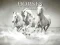 Juego Horses Puzzle en línea