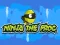 Juego Ninja the Frog en línea