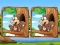 Juego Jungle 5 Diffs en línea