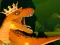 Juego The Dino King en línea