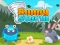 Juego Bunny Storm en línea