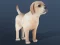 Juego IDLE Pet en línea