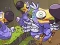 Juego Save The Dodos en línea