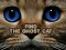 Juego Find the Ghost Cat en línea