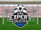 Juego Expert Goalkeeper en línea