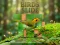Juego Birds Slide en línea