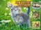 Juego Kittens Jigsaw en línea