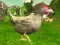Juego Chicken Shooter en línea