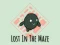 Juego Lost In The Maze en línea