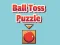 Juego Ball Toss Puzzle en línea
