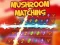Juego Mushroom matching en línea
