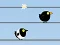 Juego Gone with the Birds en línea