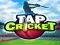 Juego Tap Cricket en línea