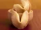 Juego Fortune Cookies en línea