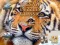 Juego Jigsaw Puzzles Classic en línea