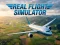 Juego Real Flight Simulator en línea