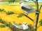 Juego Birds Of Prey Puzzle en línea