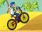 Juego BMX Boy Online en línea