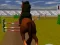 Juego Jumping Horse 3d en línea