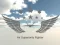 Juego Air Superiority Fighter en línea