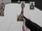Juego Shooting Range Simulator en línea