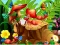 Juego Hidden Objects Insects en línea