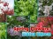 Juego Spring Flowers: Hidden Objects en línea