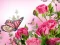 Juego Butterflies Puzzle en línea