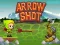 Juego Arrow Shoot en línea