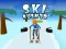 Juego Ski Rush 3d en línea
